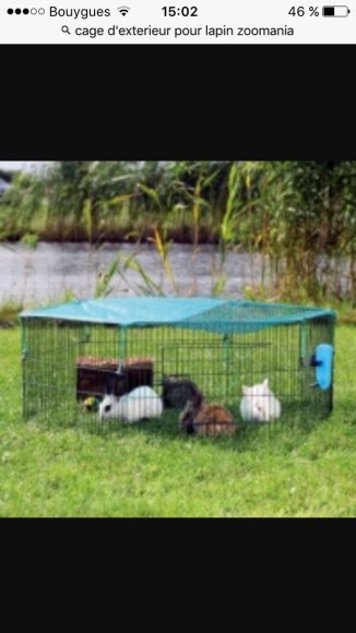 Lapin  acheter vendre