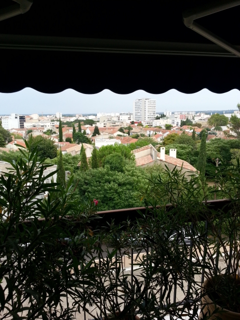 cause depart appartement a saisir acheter vendre