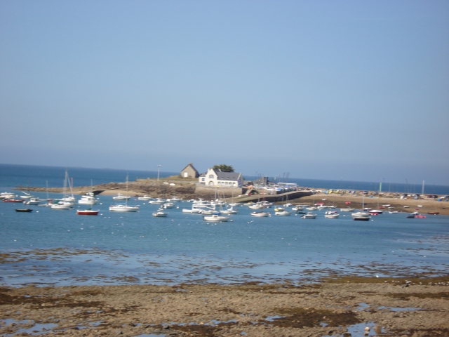 terrain constructible acheter vendre