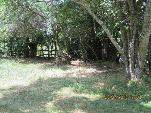 SEYNE les ALPES Terrain 600 m2 Viabilisé avec P.C. acheter vendre