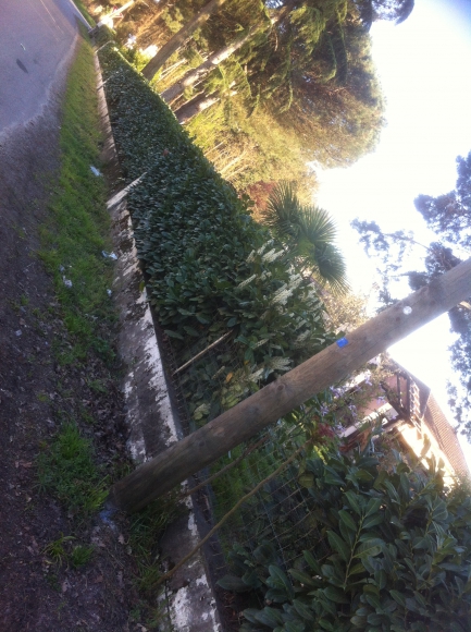 belle villa grand parc arbore acheter vendre