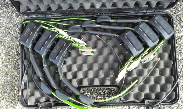 Collers Garmin de repérage et dressage TT15 acheter vendre