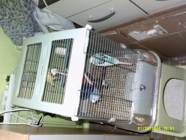 cage démontable acheter vendre