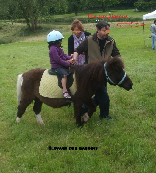 rusty type shet monté attelé  acheter vendre