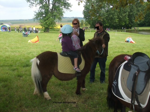 rusty type shet monté attelé  acheter vendre