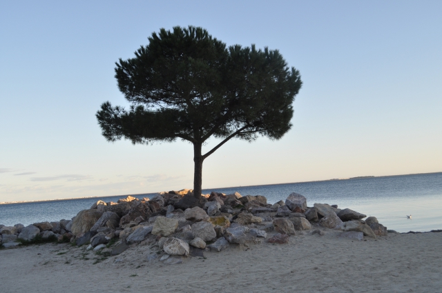 Location vacance appartement meublée T2 acheter vendre