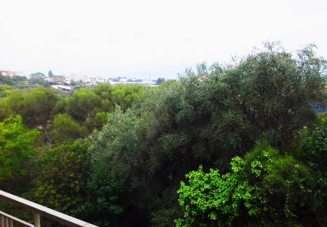 2 Pièces NICE FABRON acheter vendre