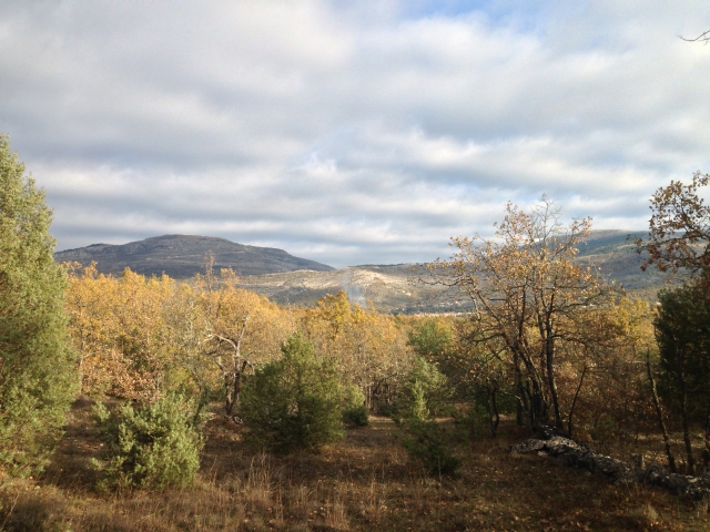 GRAND TERRAIN BOISE INCONSTRUCTIBLE acheter vendre