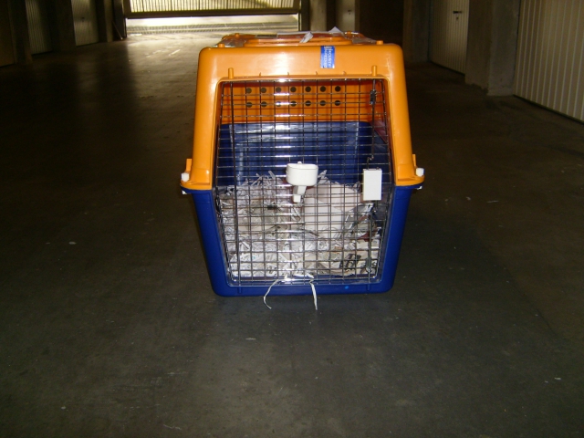 Niche chien agréé transport aerien acheter vendre