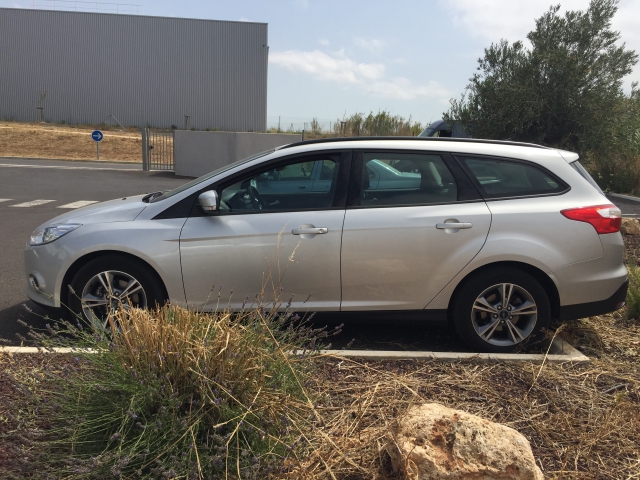 ford focus sw s&s edition  acheter vendre