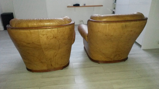 lot de 2 fauteuils en cuir  acheter vendre